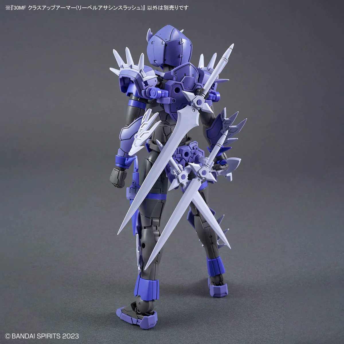30 Minutes Fantasy Class-Up Armor Liber Assassin Slash Accessory Set - Image 4