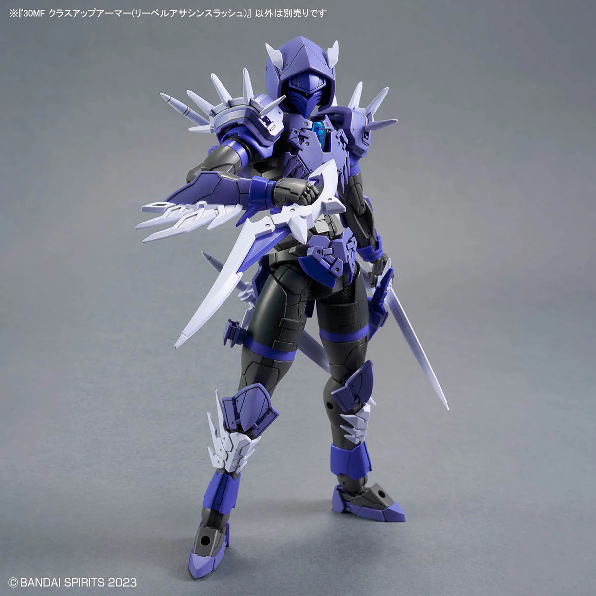 30 Minutes Fantasy Class-Up Armor Liber Assassin Slash Accessory Set - Image 5