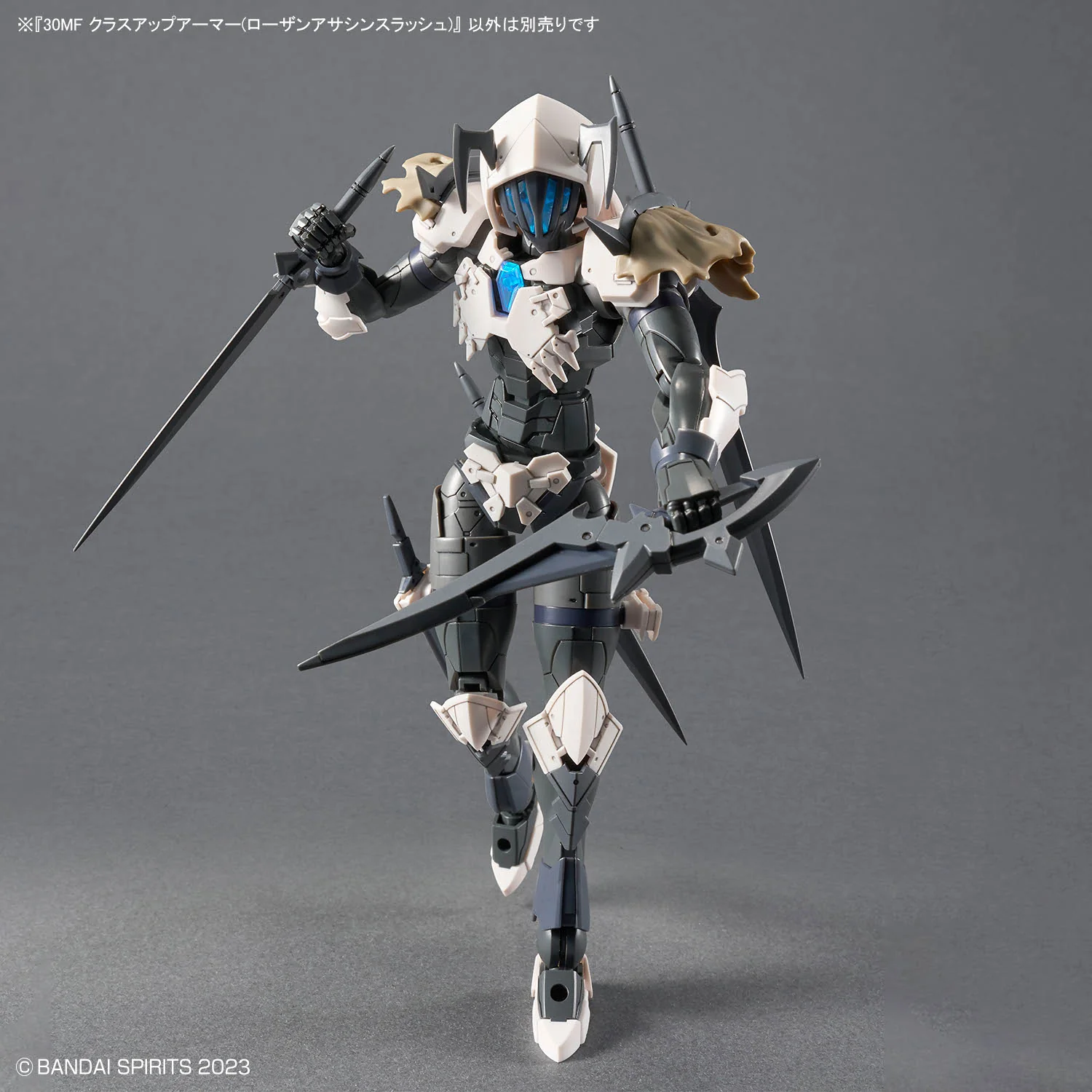 30 Minutes Fantasy Class-Up Armor Rosan Assassin Slash Accessory Set - Image 4