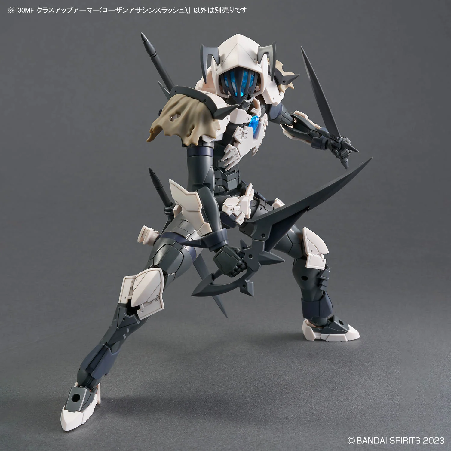 30 Minutes Fantasy Class-Up Armor Rosan Assassin Slash Accessory Set - Image 5