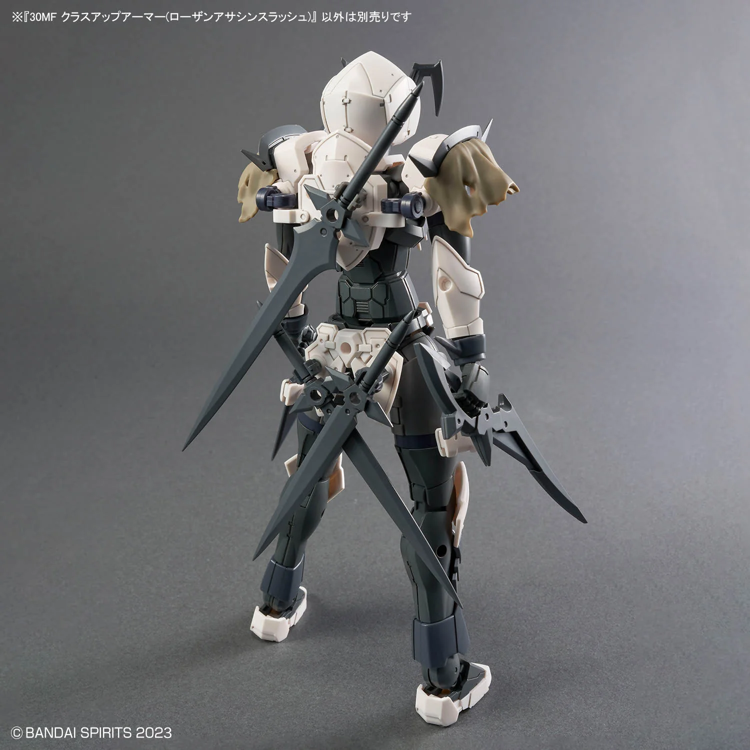 30 Minutes Fantasy Class-Up Armor Rosan Assassin Slash Accessory Set - Image 6