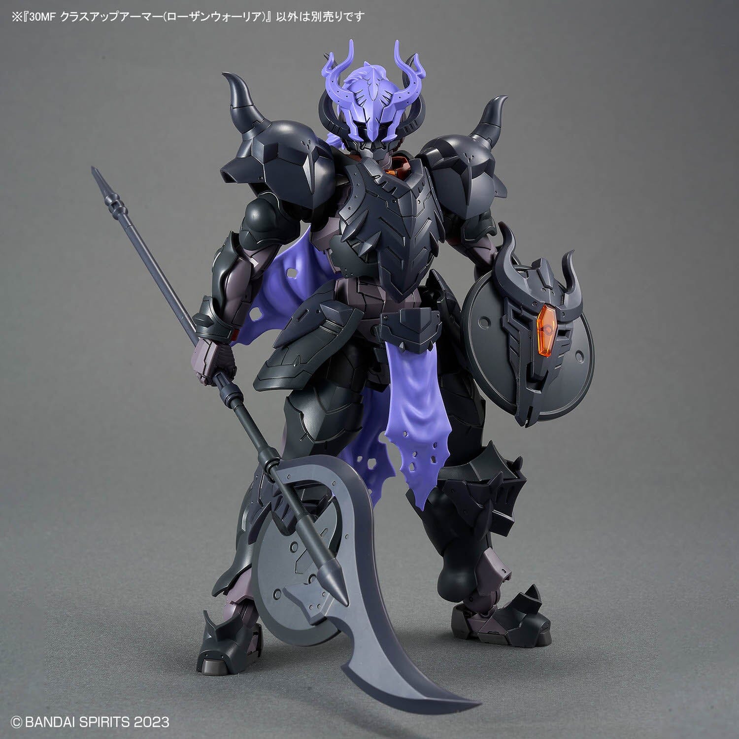 30 Minutes Fantasy Class-Up Armor Rosan Warrior Accessory Set - Image 5