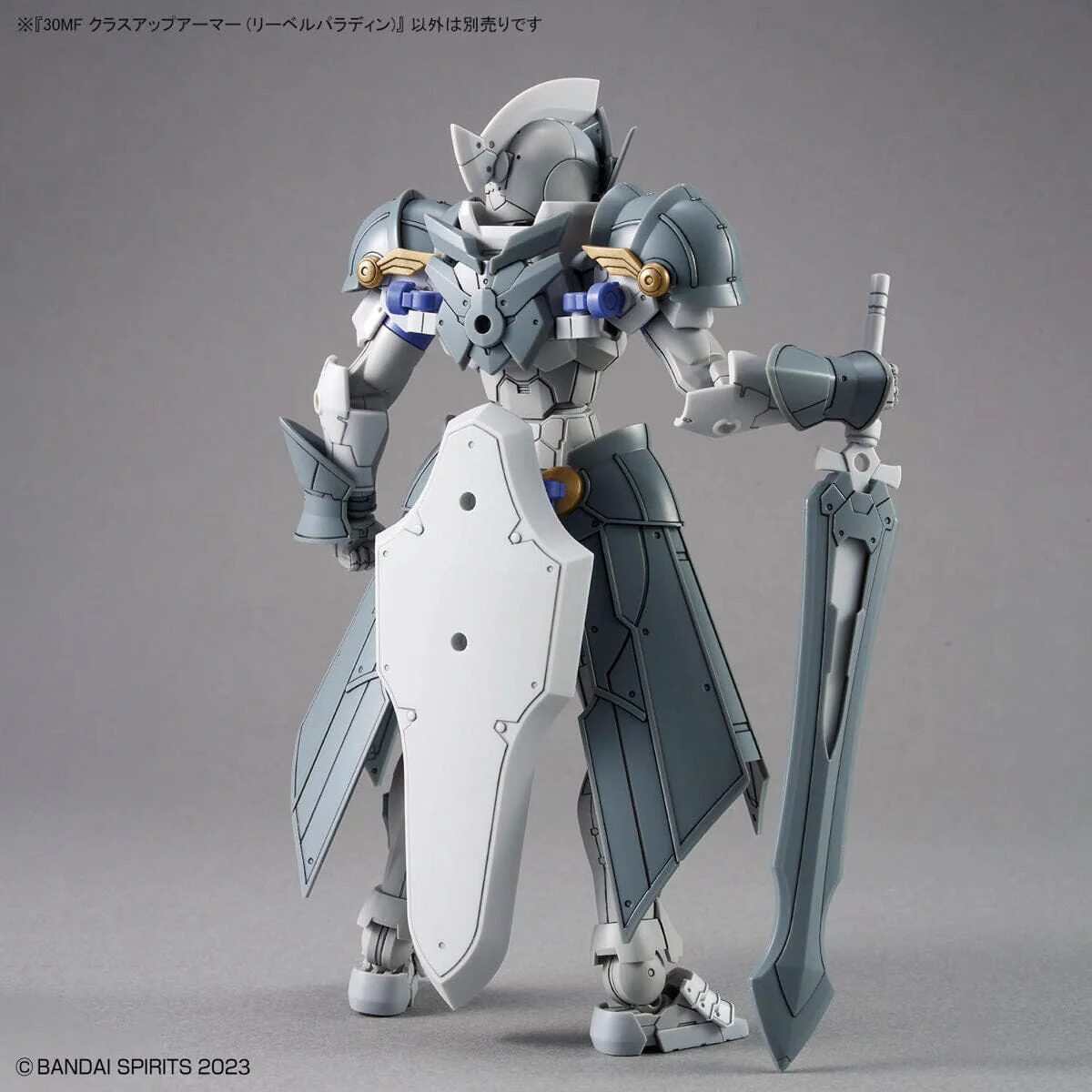 30 Minutes Fantasy #02 Class-Up Armor Liber Paladin Accessory Set - Image 5