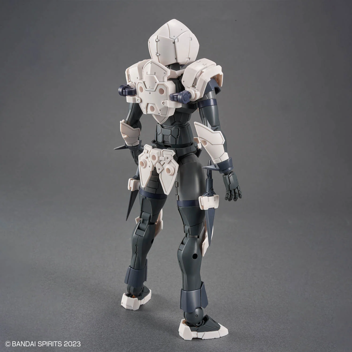 30 Minutes Fantasy #11 Rosan Assassin Model Kit - Image 5