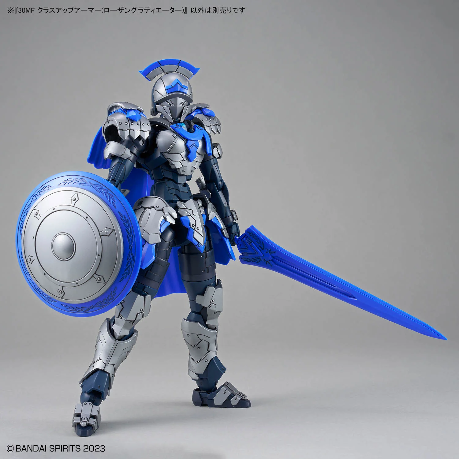30 Minutes Fantasy Class Up Armor Rosan Gladiator Accessory Kit - Image 4