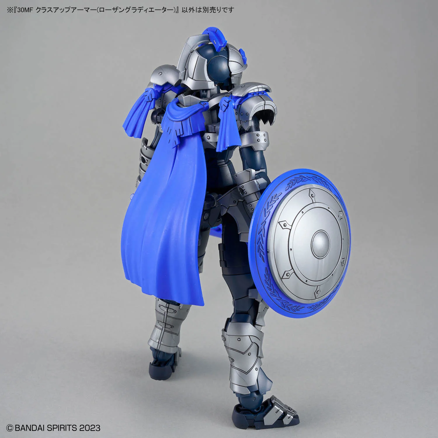 30 Minutes Fantasy Class Up Armor Rosan Gladiator Accessory Kit - Image 5