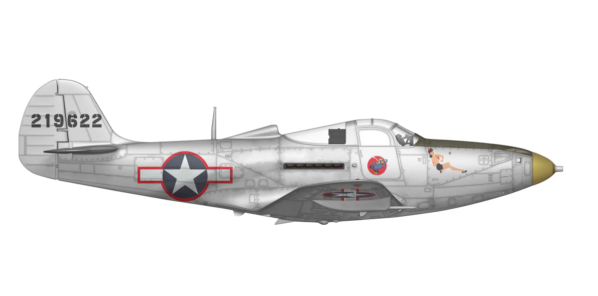 Arma Hobby 1/48 P-39 Airacobra Recon - Image 5