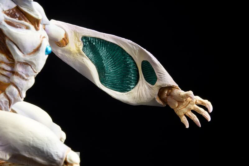 Betterman Nebula Concept Model Figure - Image 5