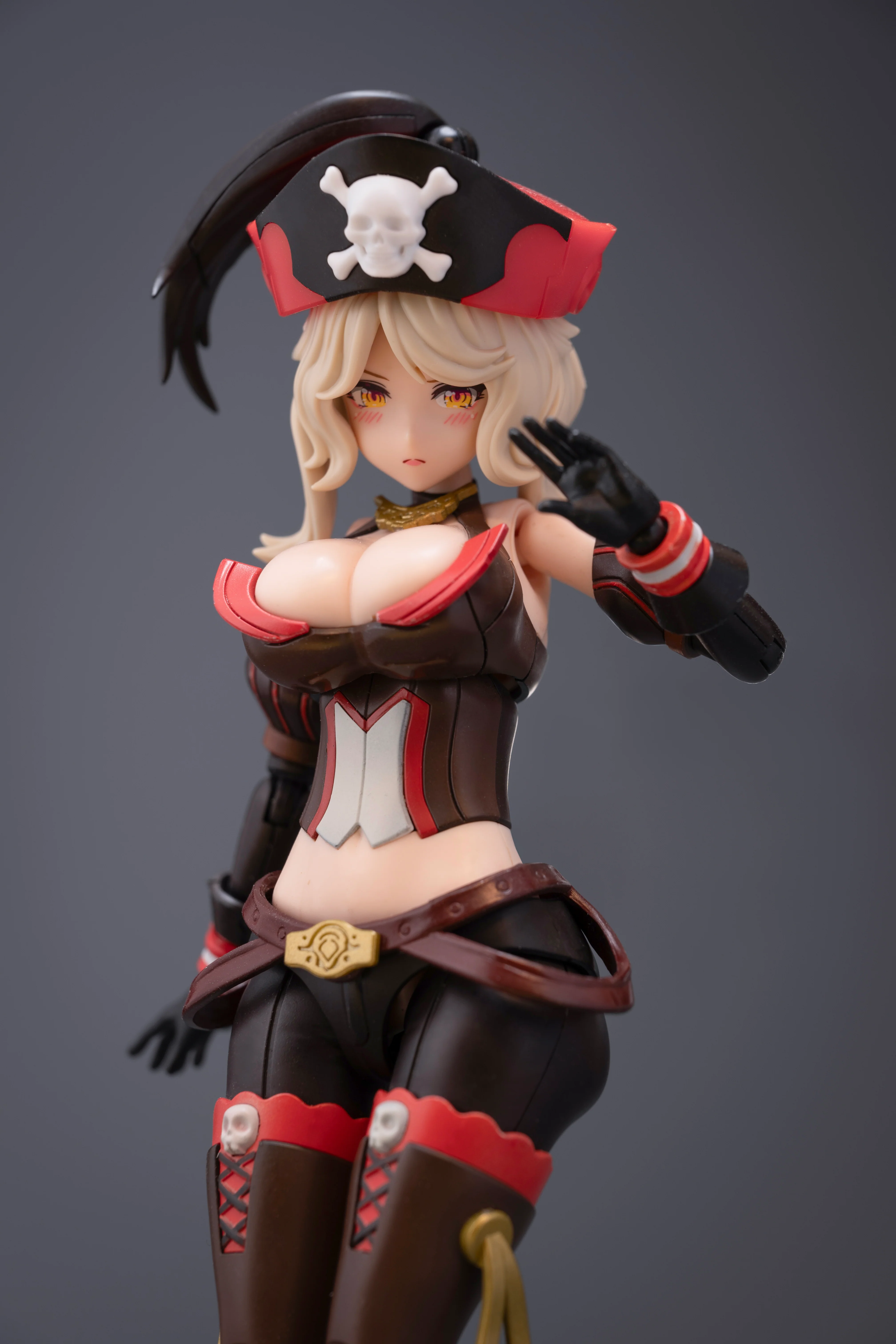 Border - BA003 - Pirate Queen Anne - Image 8
