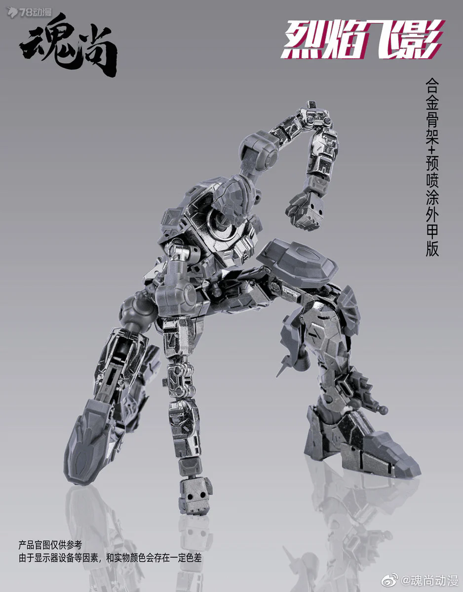 1/100 Flame SHADOW PLASTIC MODEL KIT Metal Frame Ver - Image 14