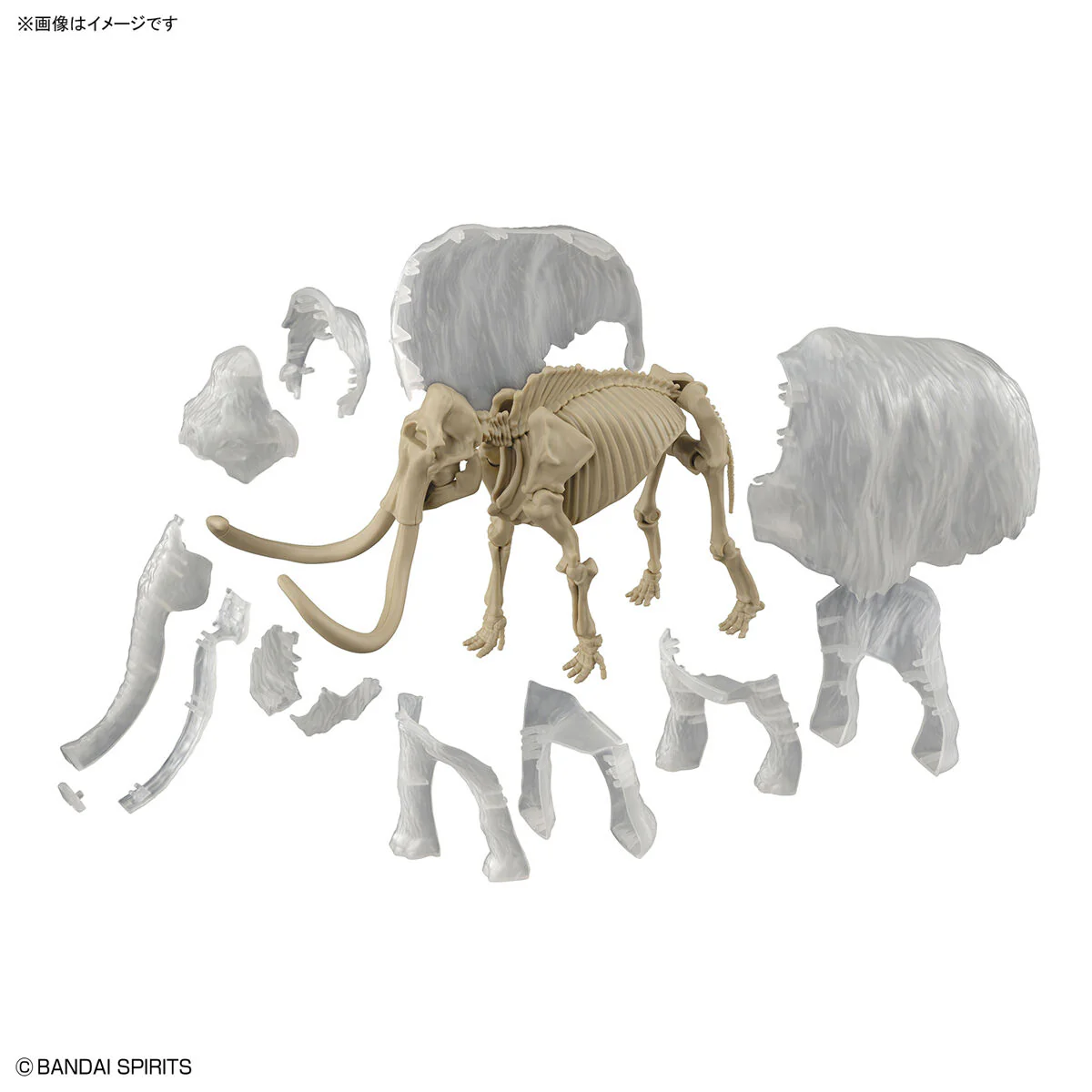 Exploring Lab Nature Mammoth Color Changing Model Kit - Image 13