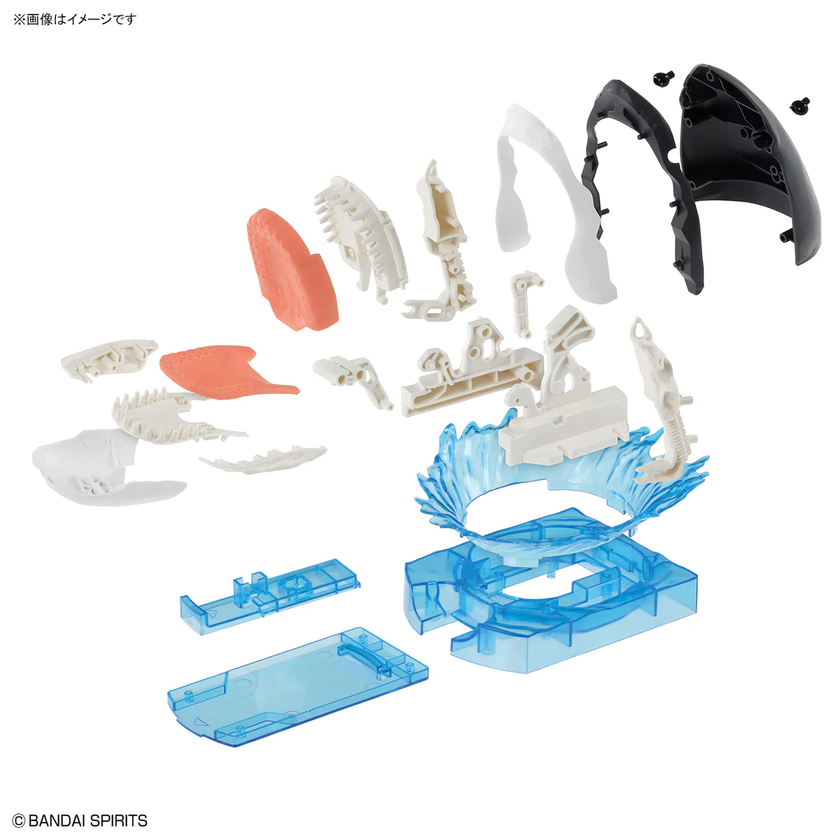 Exploring Lab Nature Shark Model Kit - Image 10