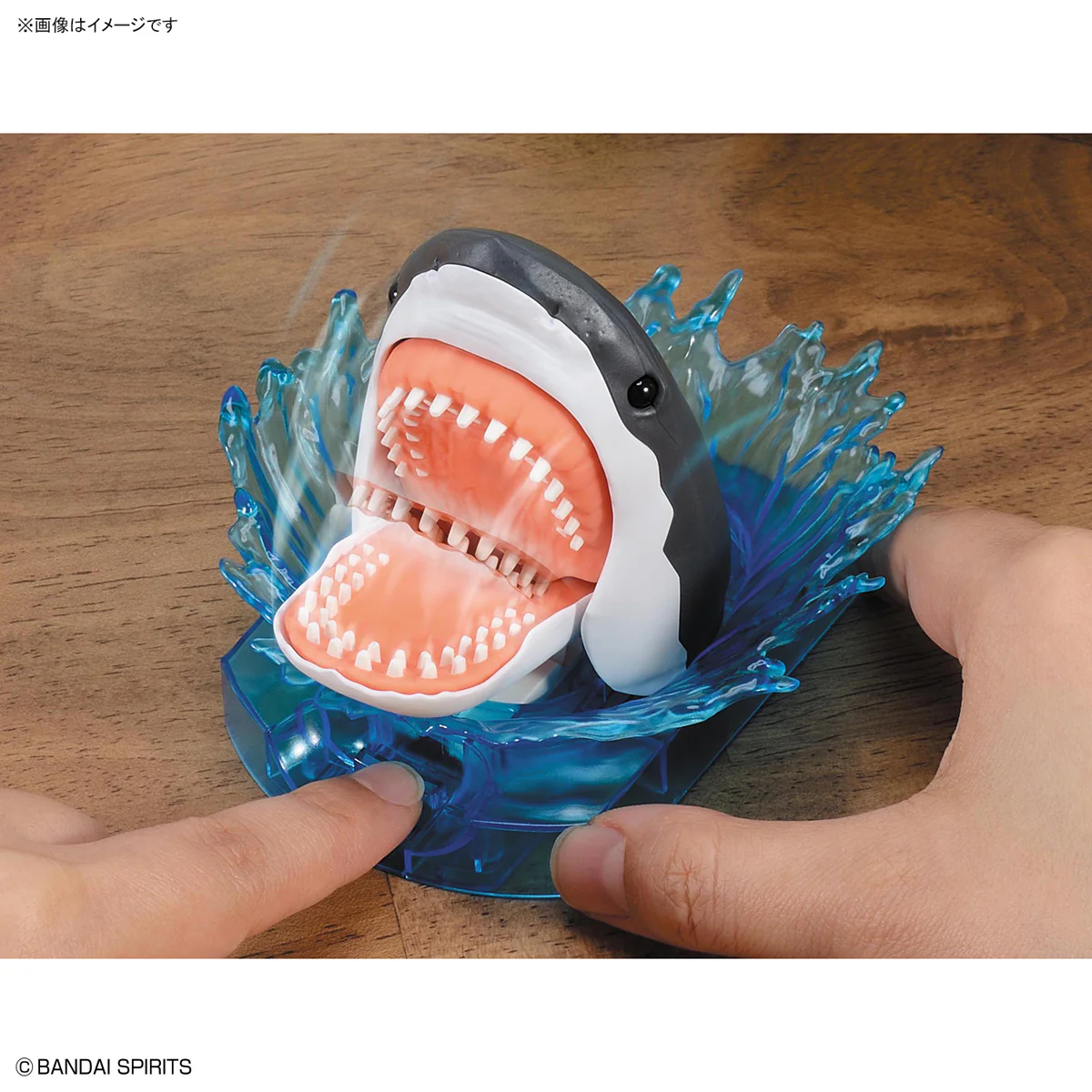 Exploring Lab Nature Shark Model Kit - Image 11