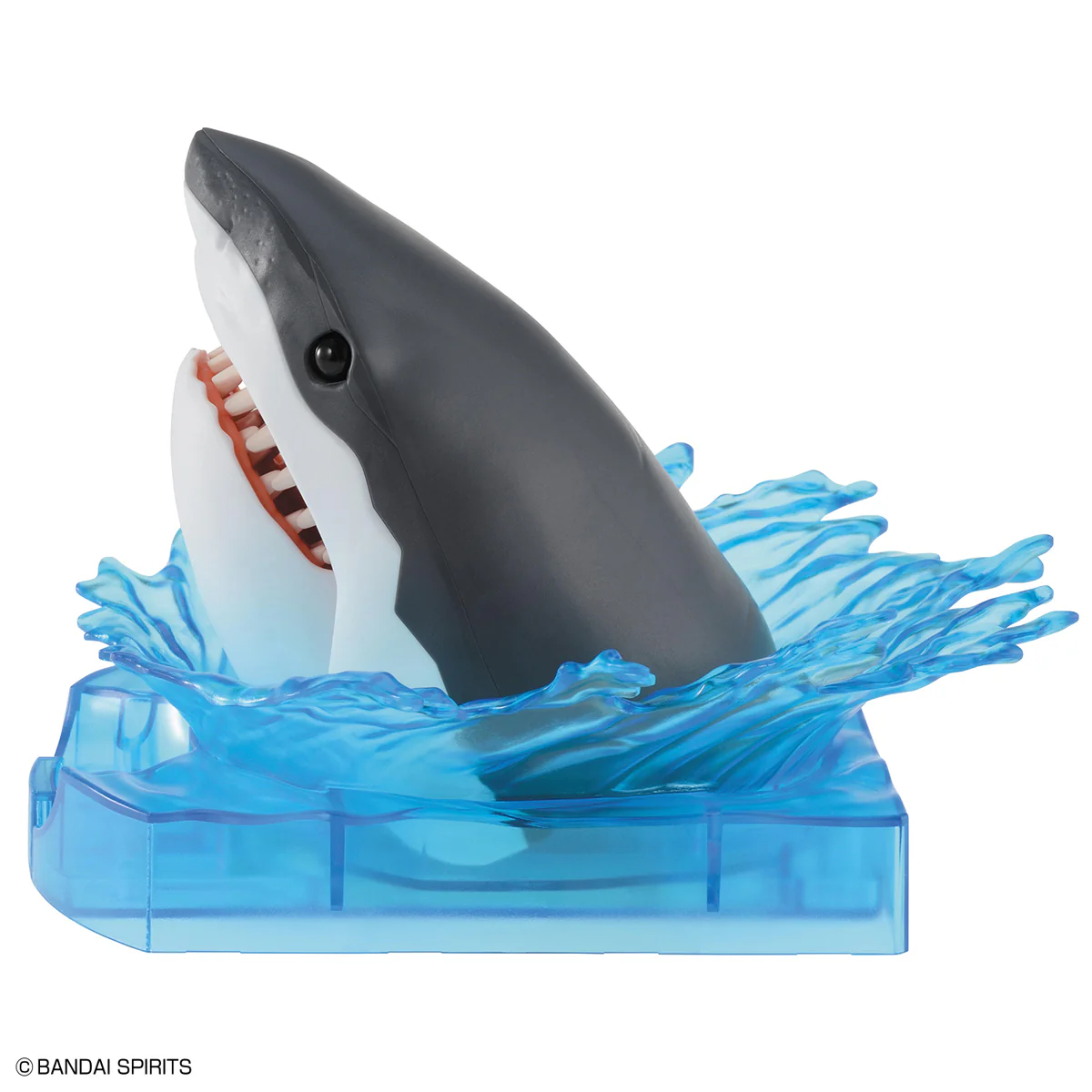 Exploring Lab Nature Shark Model Kit - Image 5