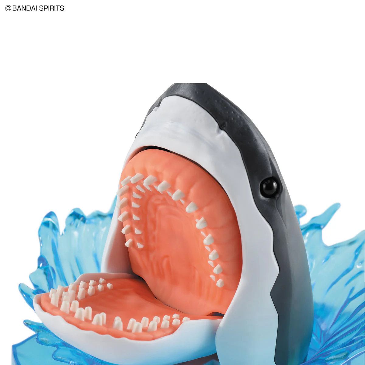 Exploring Lab Nature Shark Model Kit - Image 6