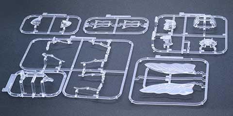 Fujimi Biology Edition Beetle (Clear) - Image 3