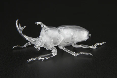 Fujimi Biology Edition Beetle (Clear) - Image 4