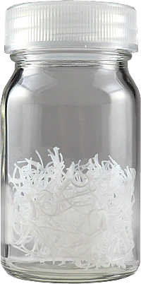 Gaia G-01r Brush Wash