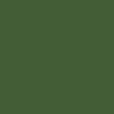 GNZ-C511 Russian Green "4BO" WWII Russian AFV