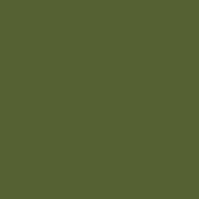 GNZ-C512 Russian Green "4BO" 1947 Russian AFV