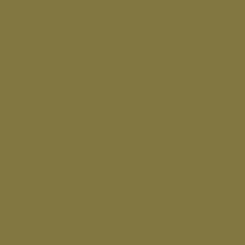 GNZ-C524 Hay Color Japanese Army AFV Late Camo