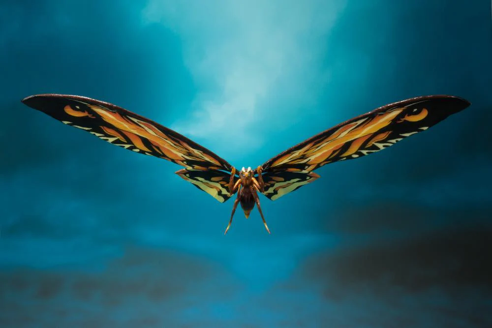 Godzilla: King of the Monsters S.H.MonsterArts Mothra & Rodan Two-Pack - Image 9