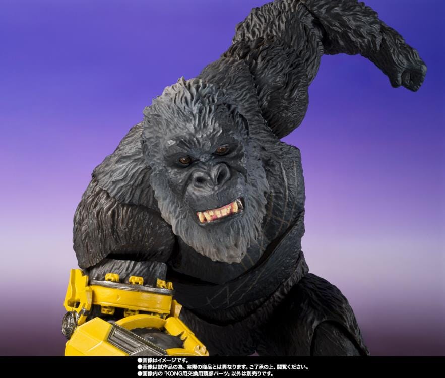 Godzilla x Kong The New Empire S.H.MonsterArts Shimo - Image 7