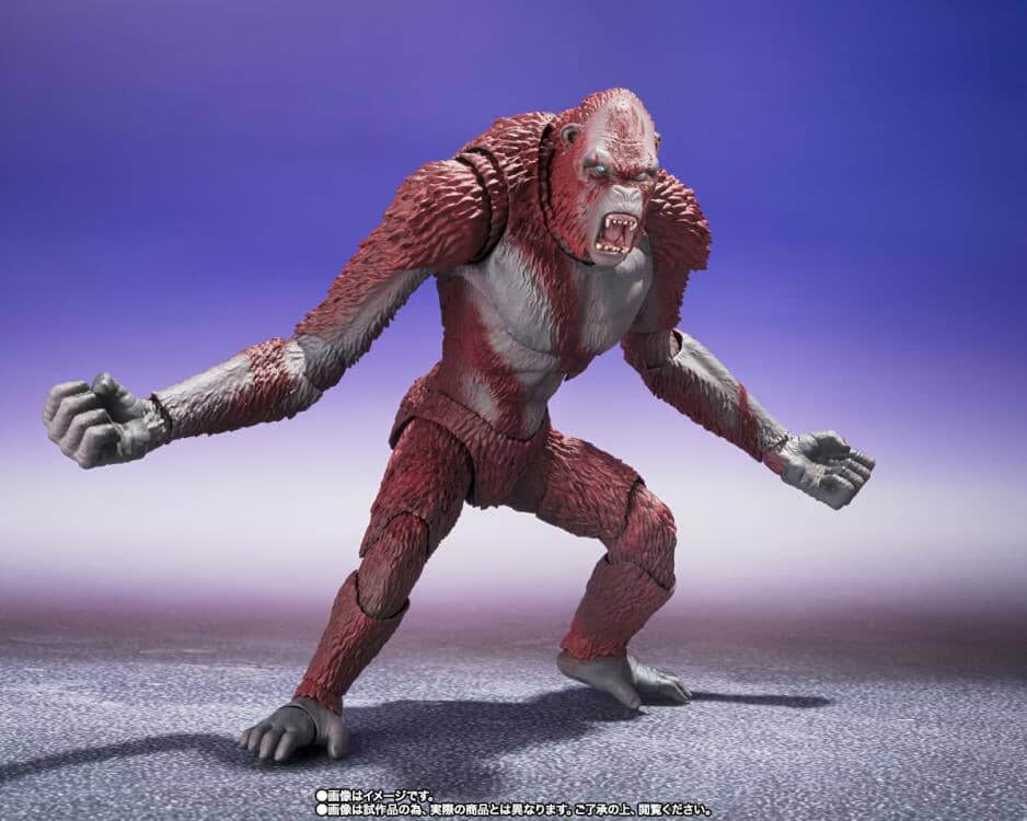 Godzilla x Kong The New Empire S.H.MonsterArts Skar King - Image 3