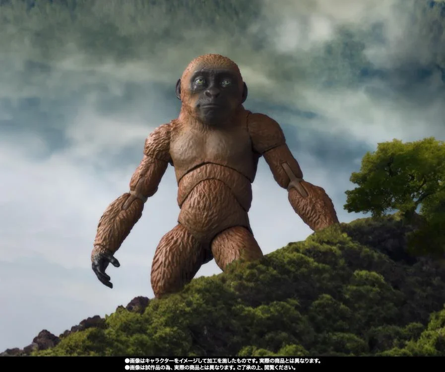 Godzilla x Kong The New Empire S.H.MonsterArts Suko & Mothra - Image 11