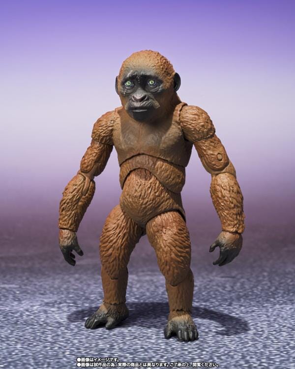 Godzilla x Kong The New Empire S.H.MonsterArts Suko & Mothra - Image 3