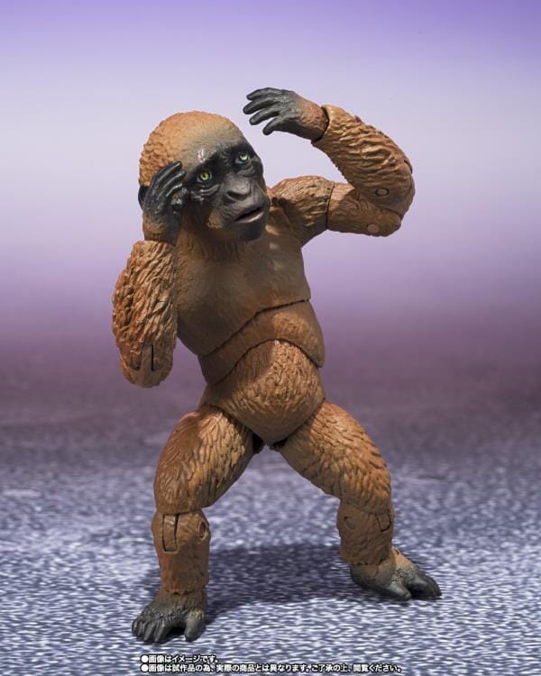 Godzilla x Kong The New Empire S.H.MonsterArts Suko & Mothra - Image 4