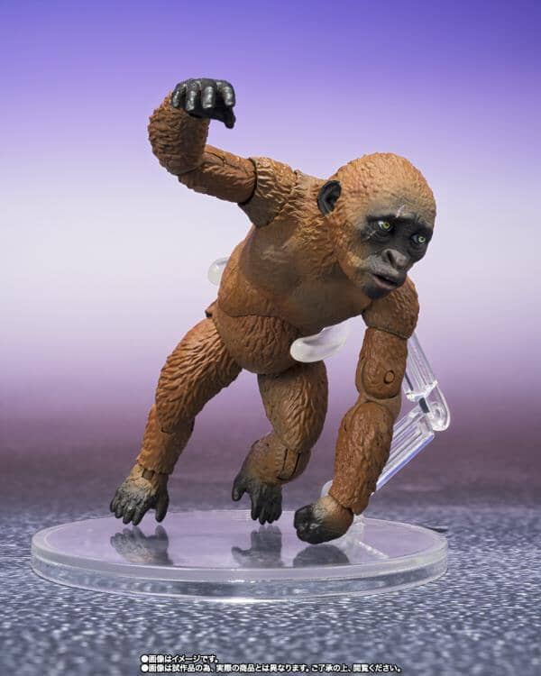 Godzilla x Kong The New Empire S.H.MonsterArts Suko & Mothra - Image 5