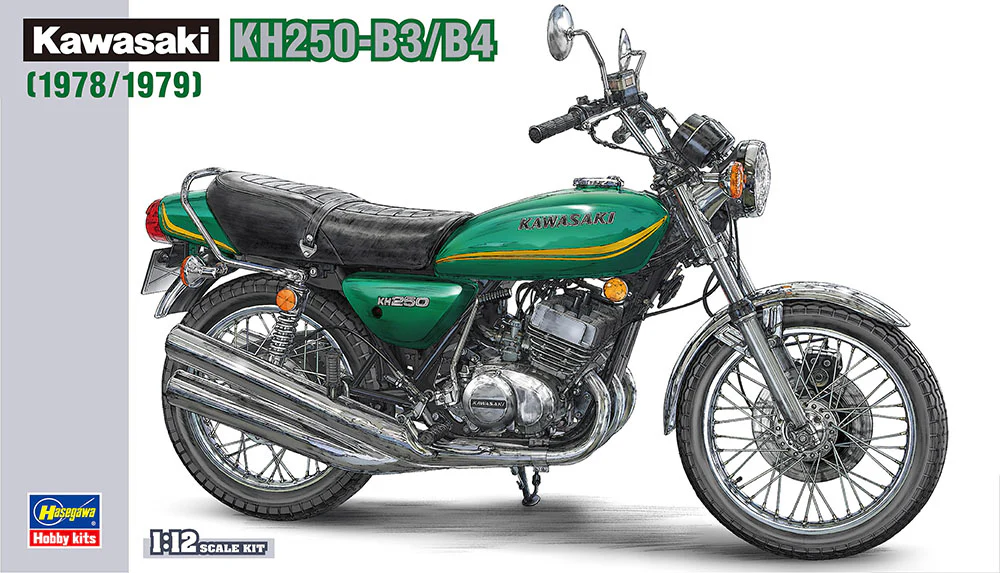Hasegawa 1/12 Kawasaki Kh250-B3/B4 (BK8)
