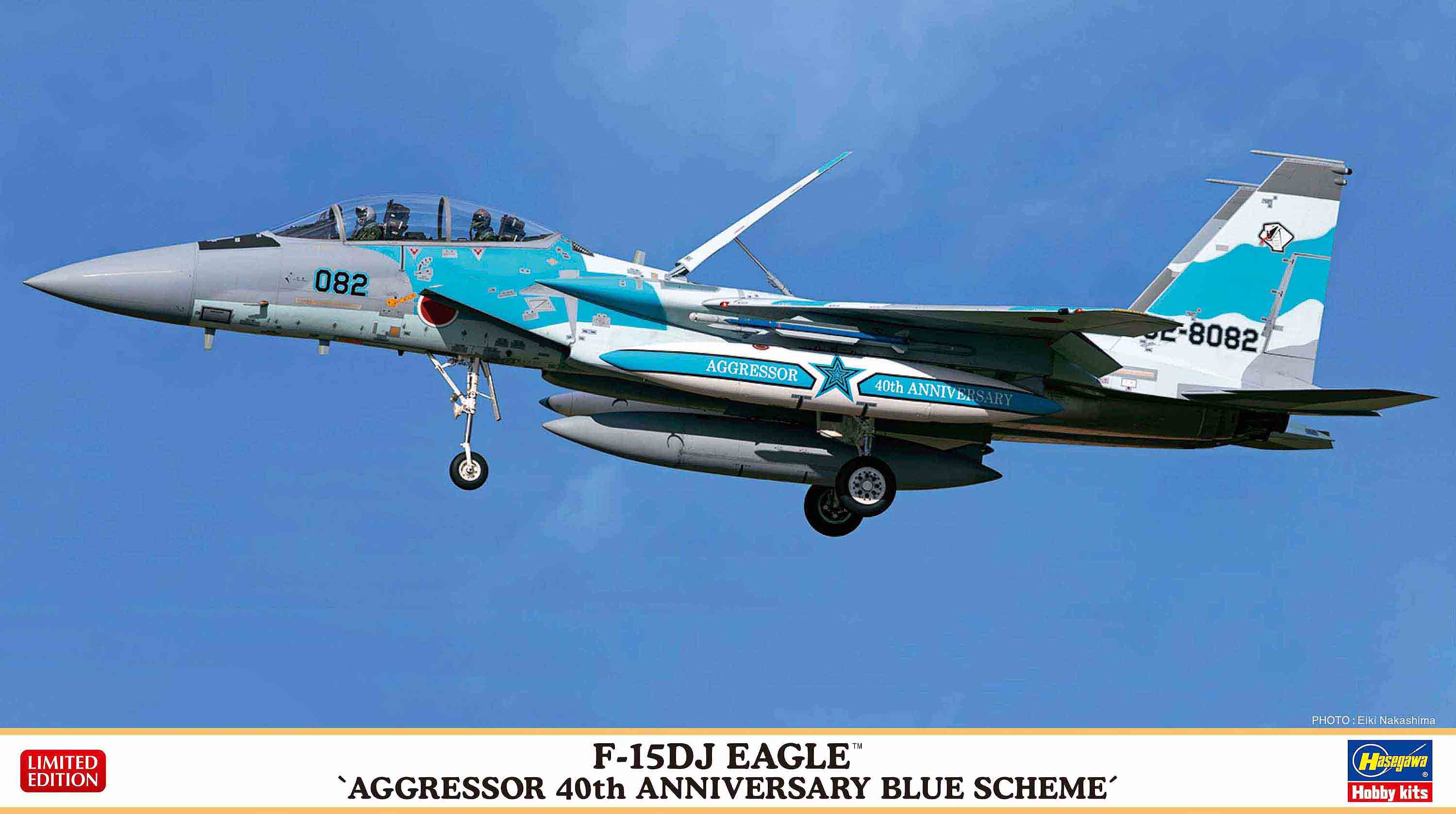 Hasegawa 1/72 F-15DJ Eagle "Aggressor 40th Anniversary Blue Scheme"