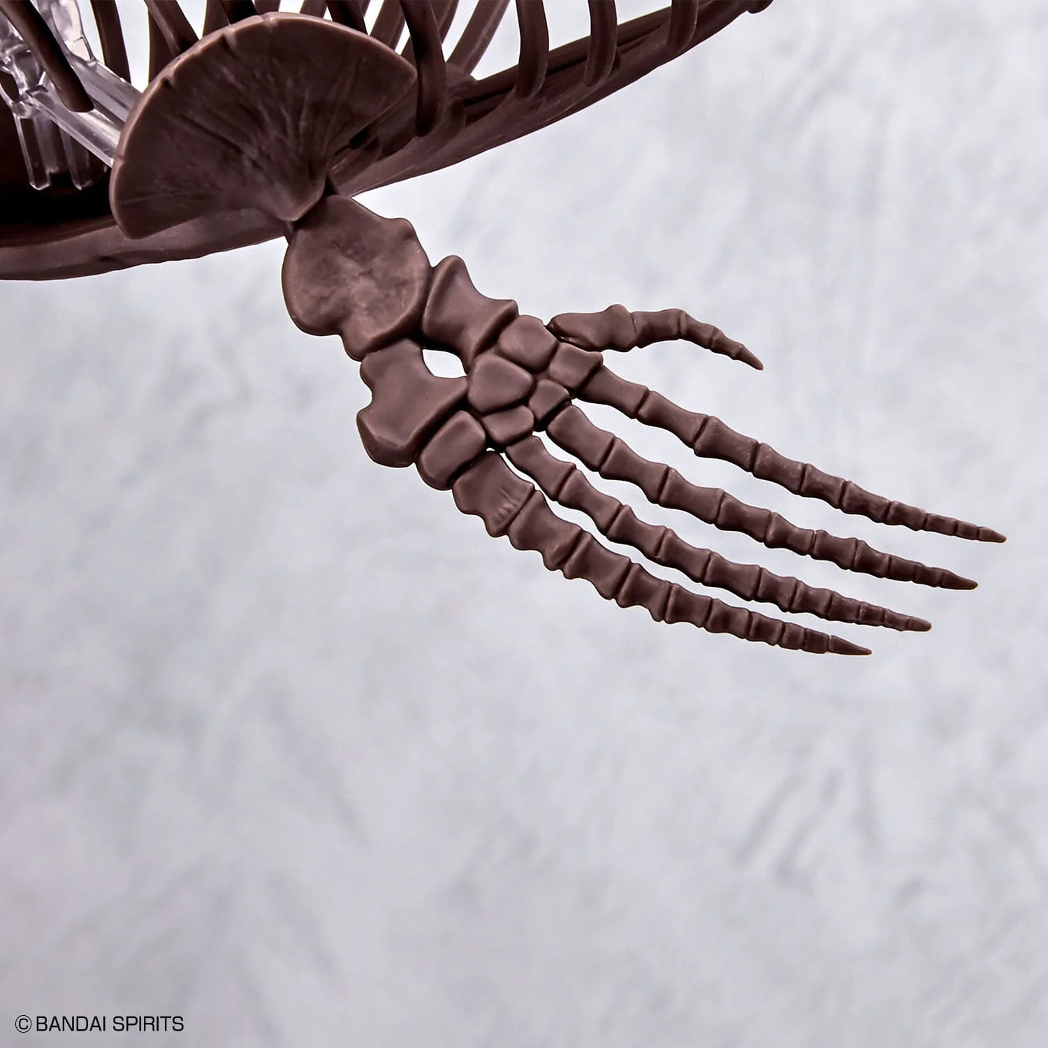 Imaginary Skeleton Mosasaurus 1/32 Scale Model Kit - Image 11