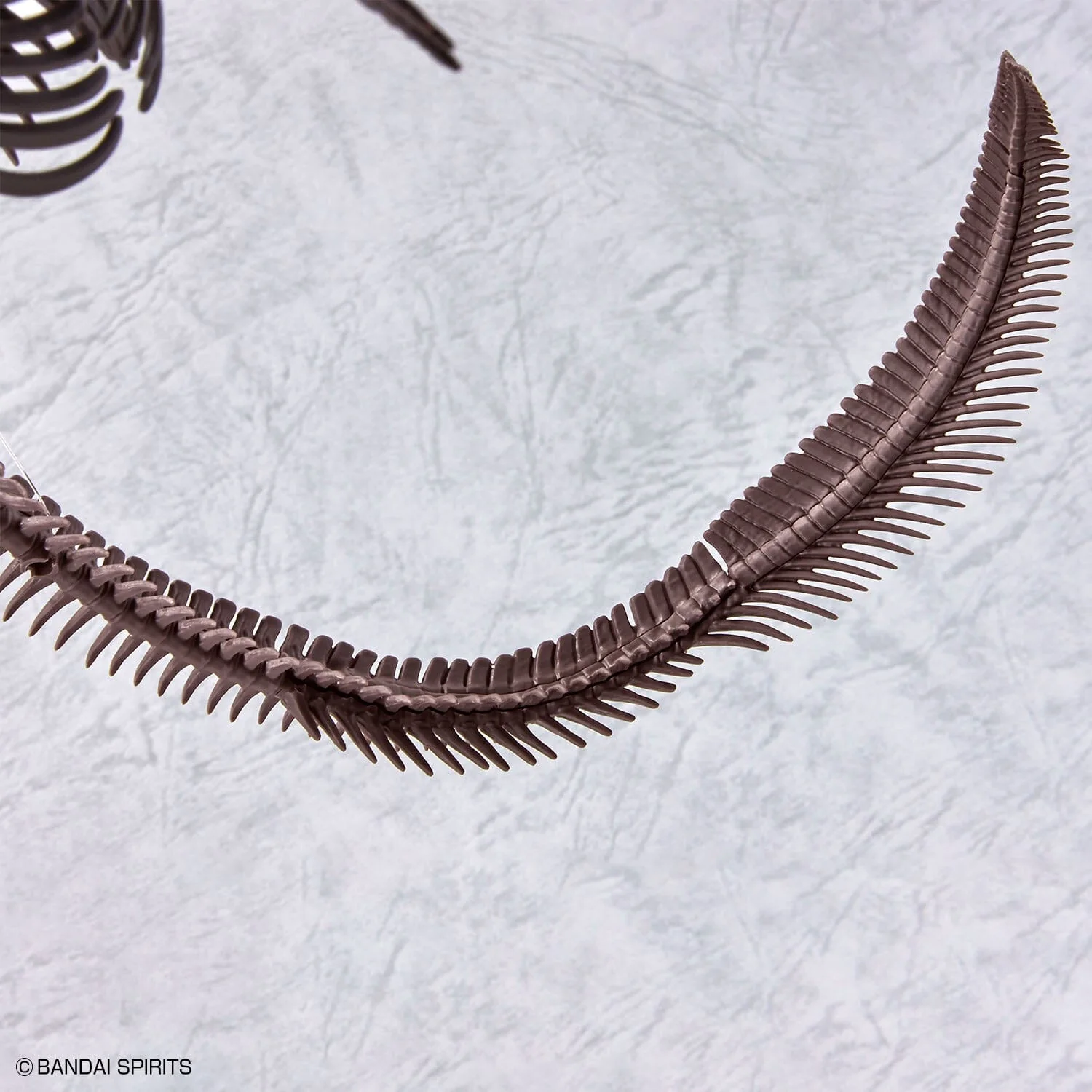 Imaginary Skeleton Mosasaurus 1/32 Scale Model Kit - Image 12
