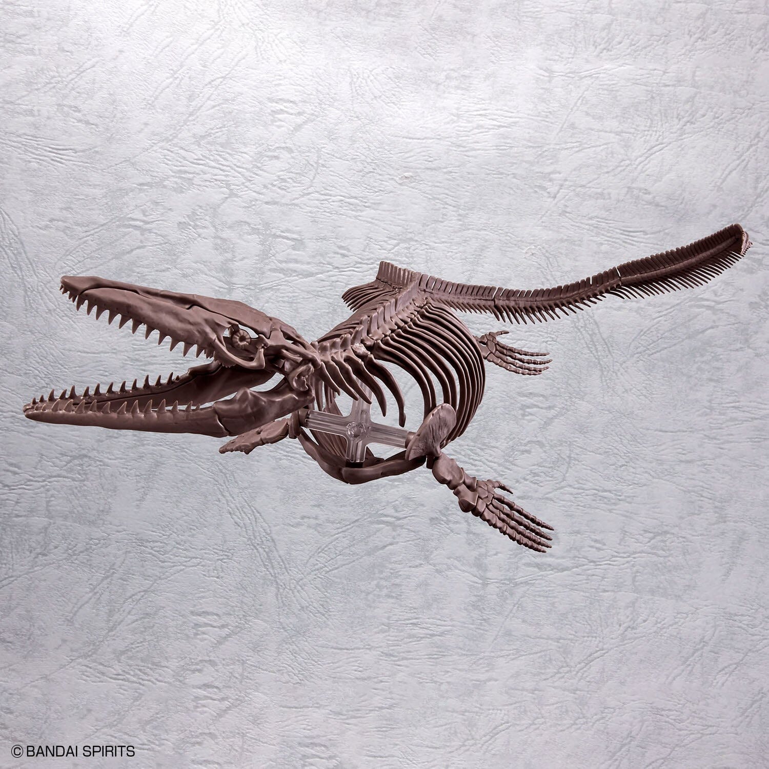 Imaginary Skeleton Mosasaurus 1/32 Scale Model Kit - Image 13