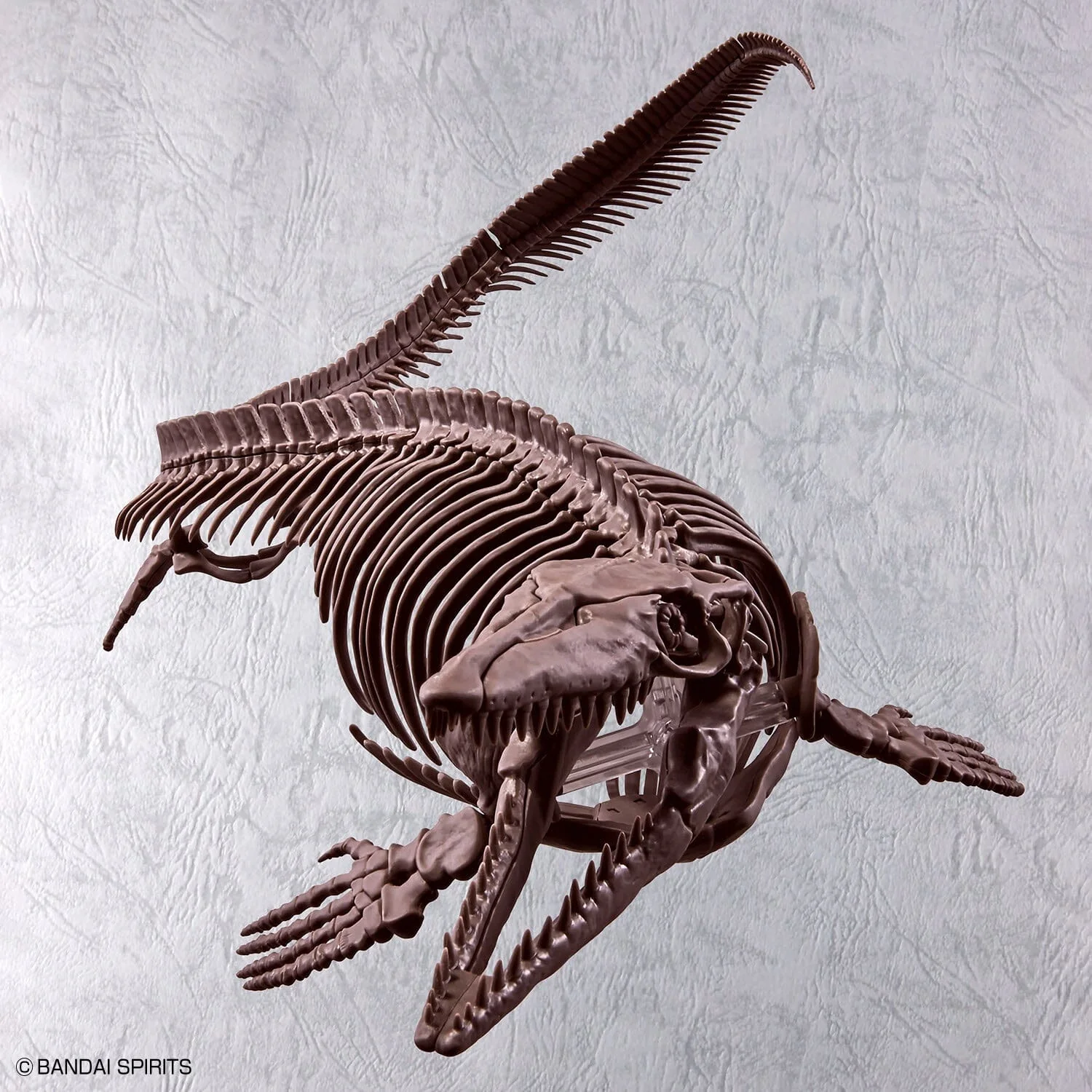 Imaginary Skeleton Mosasaurus 1/32 Scale Model Kit - Image 6