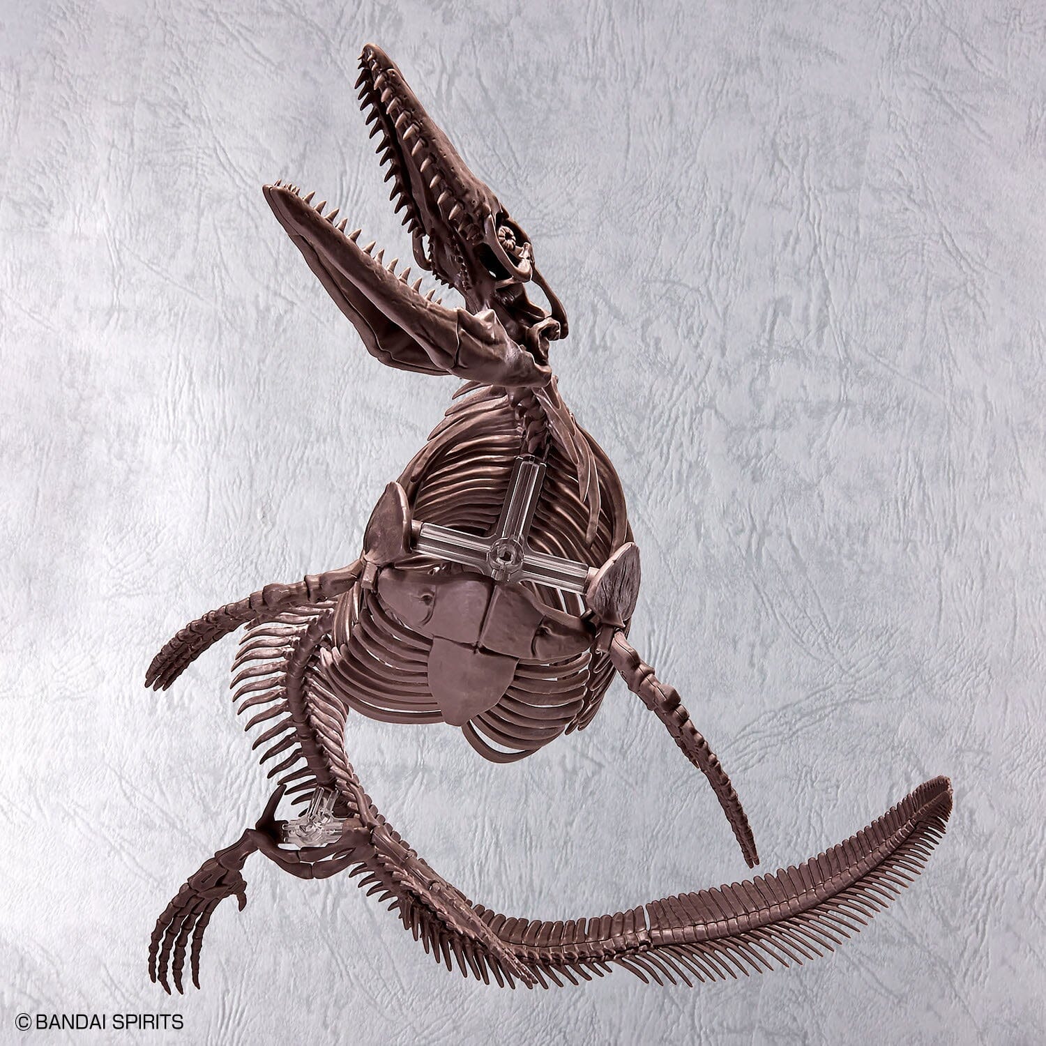 Imaginary Skeleton Mosasaurus 1/32 Scale Model Kit - Image 7