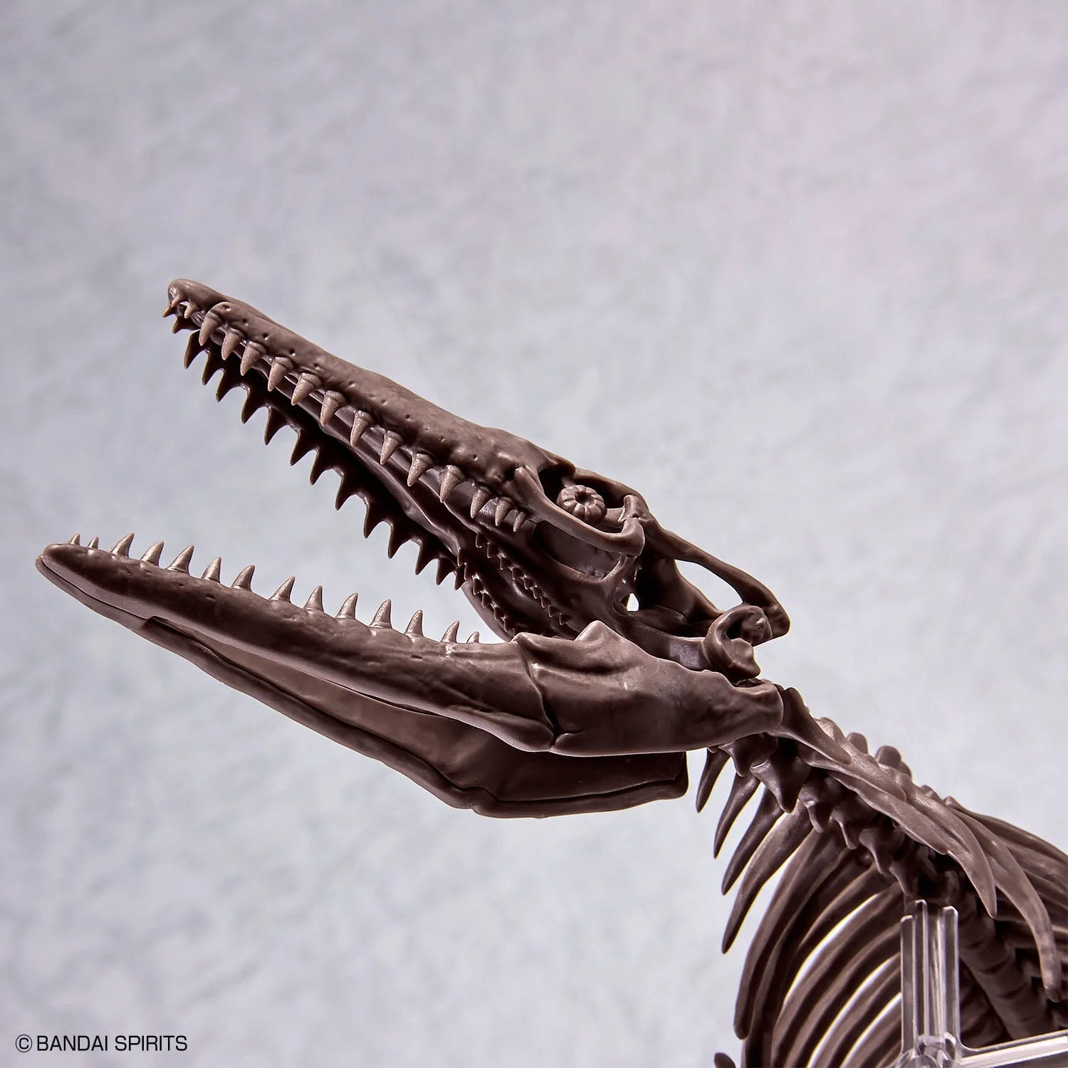 Imaginary Skeleton Mosasaurus 1/32 Scale Model Kit - Image 8