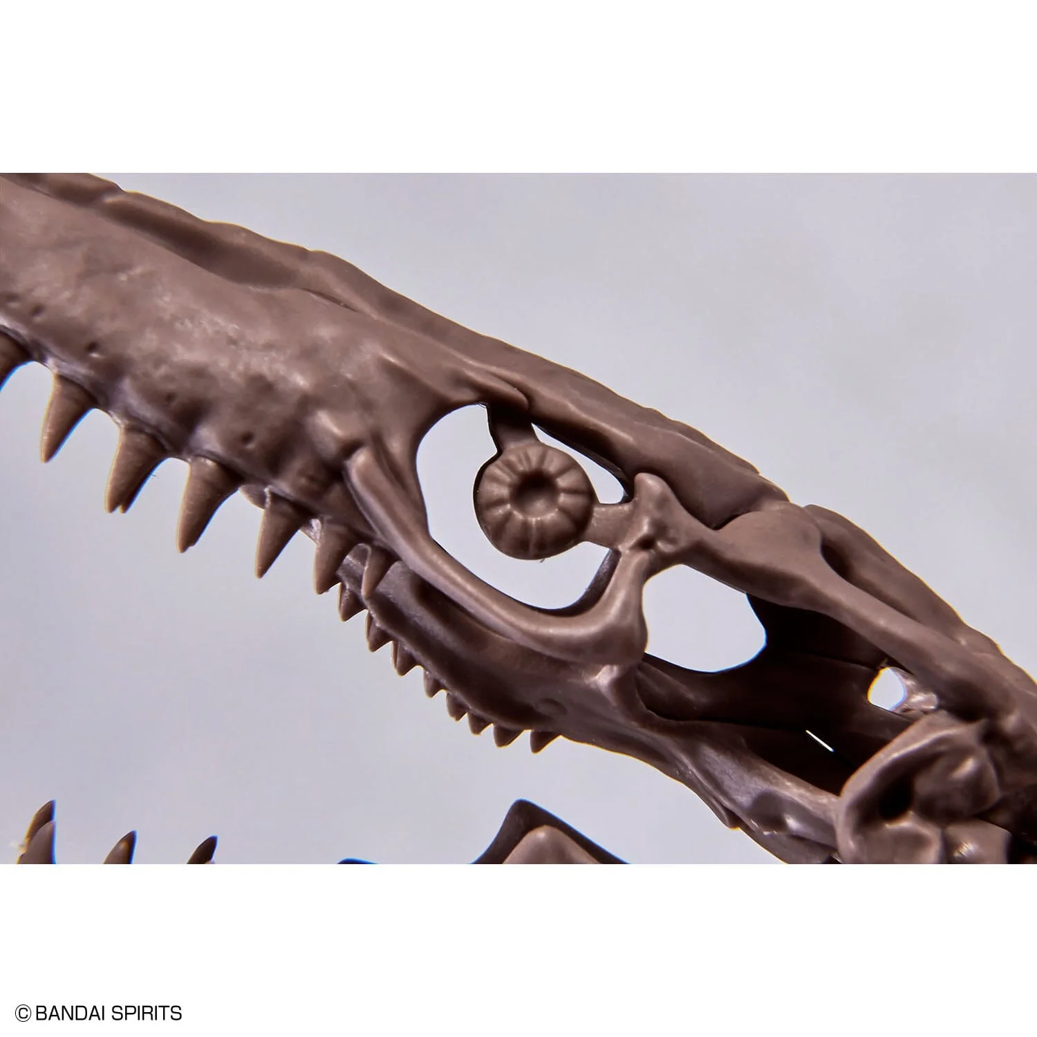 Imaginary Skeleton Mosasaurus 1/32 Scale Model Kit - Image 9