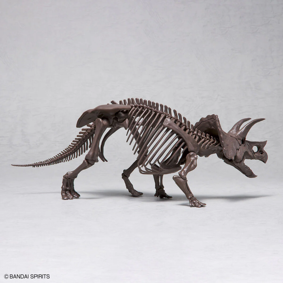 Imaginary Skeleton Triceratops 1/32 Scale - Image 10