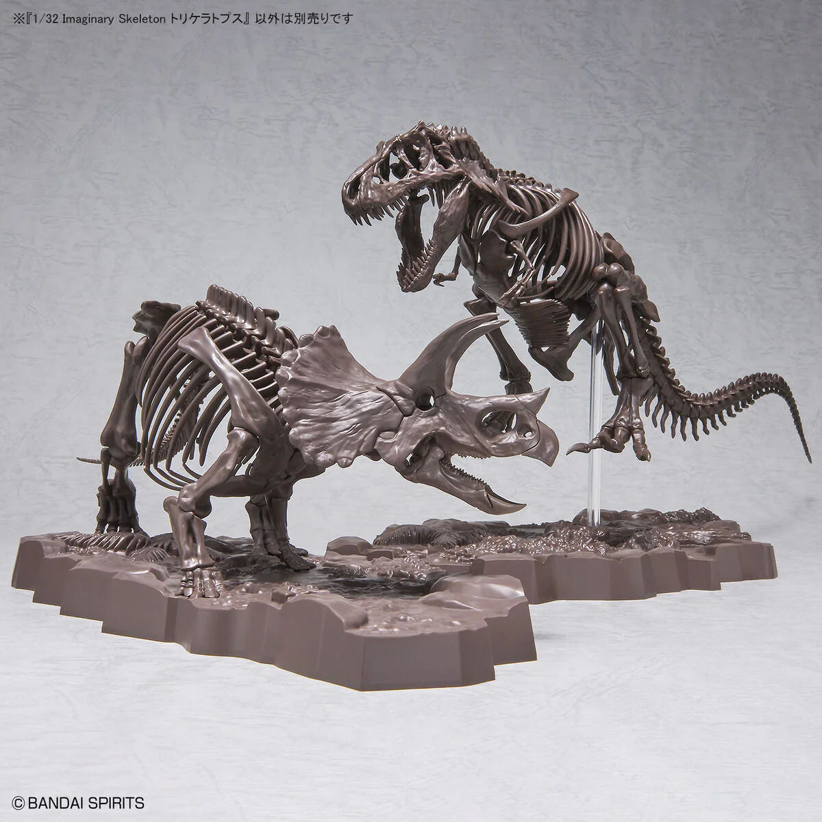 Imaginary Skeleton Triceratops 1/32 Scale - Image 11
