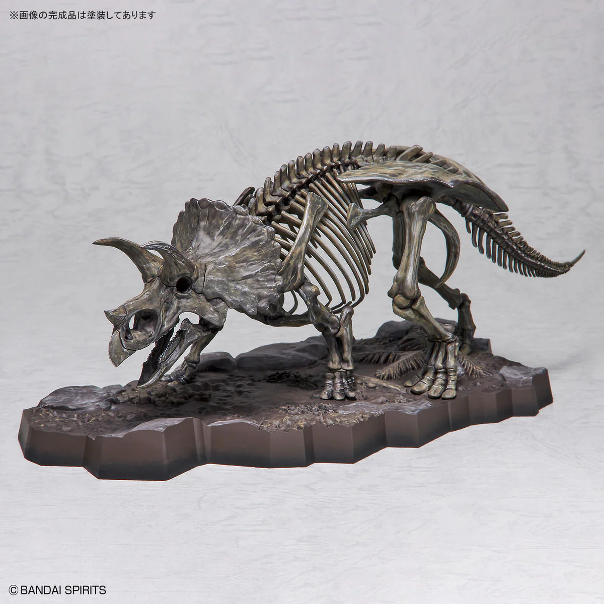 Imaginary Skeleton Triceratops 1/32 Scale - Image 12