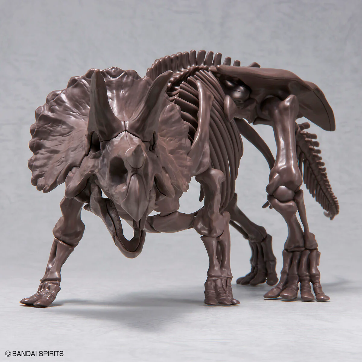 Imaginary Skeleton Triceratops 1/32 Scale - Image 6