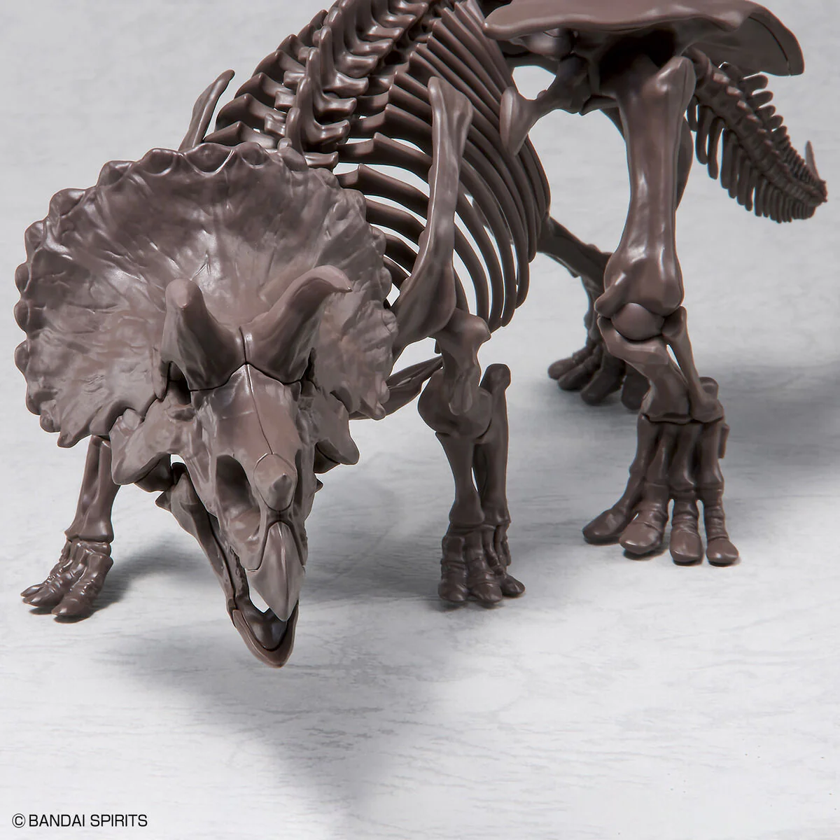 Imaginary Skeleton Triceratops 1/32 Scale - Image 7