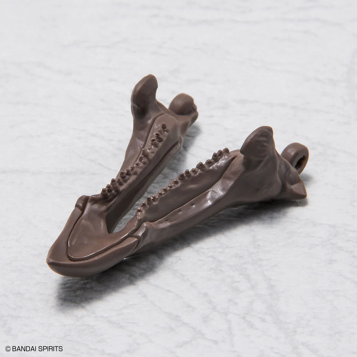 Imaginary Skeleton Triceratops 1/32 Scale - Image 8