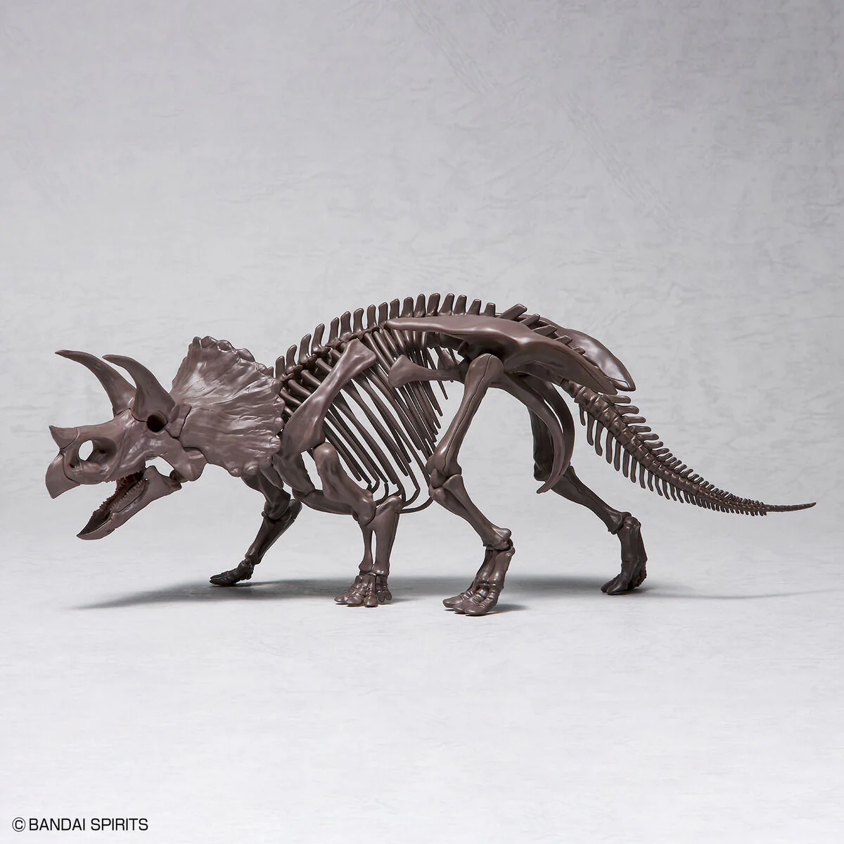 Imaginary Skeleton Triceratops 1/32 Scale - Image 9