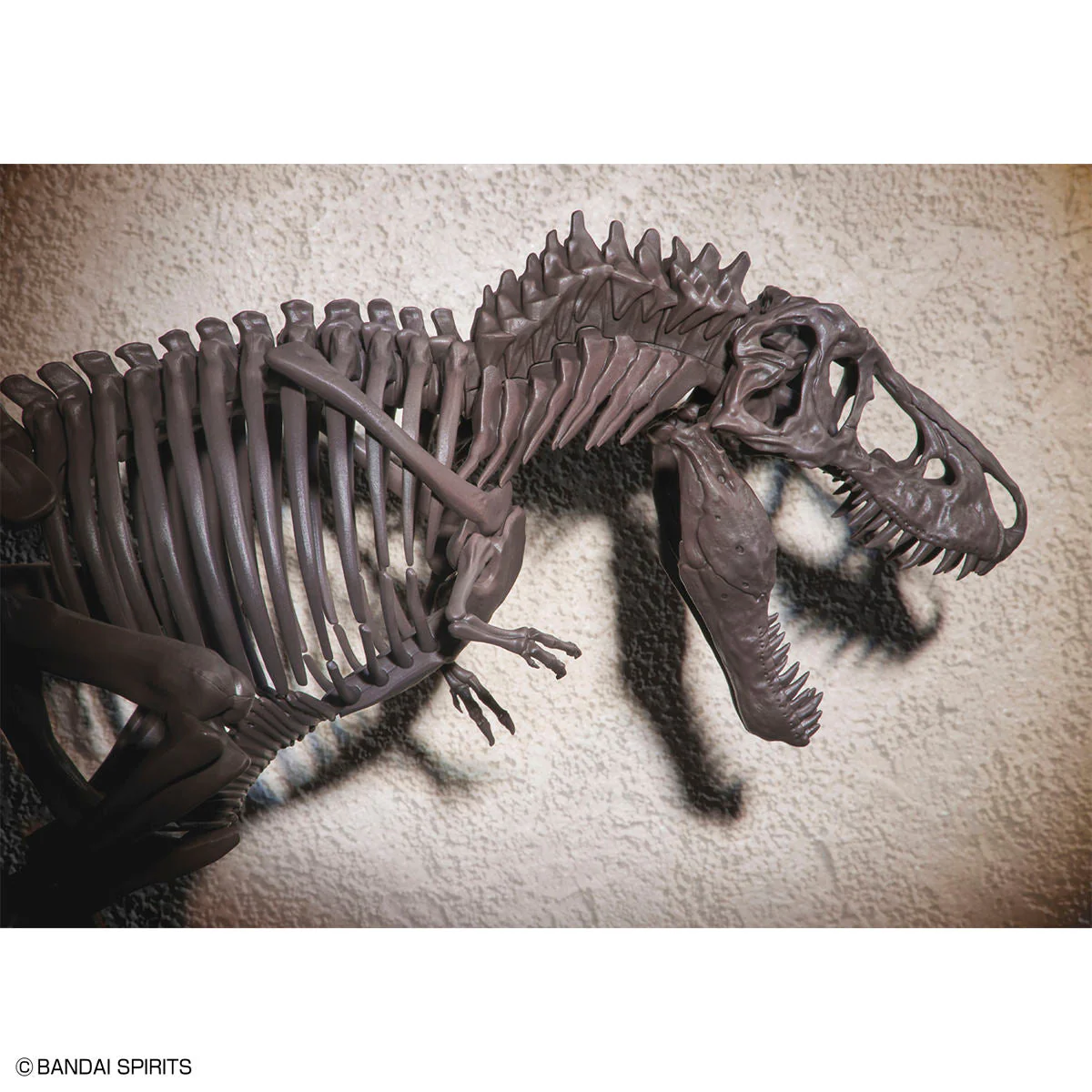 Imaginary Skeleton Tyrannosaurus 1/32 Scale Model Kit - Image 10