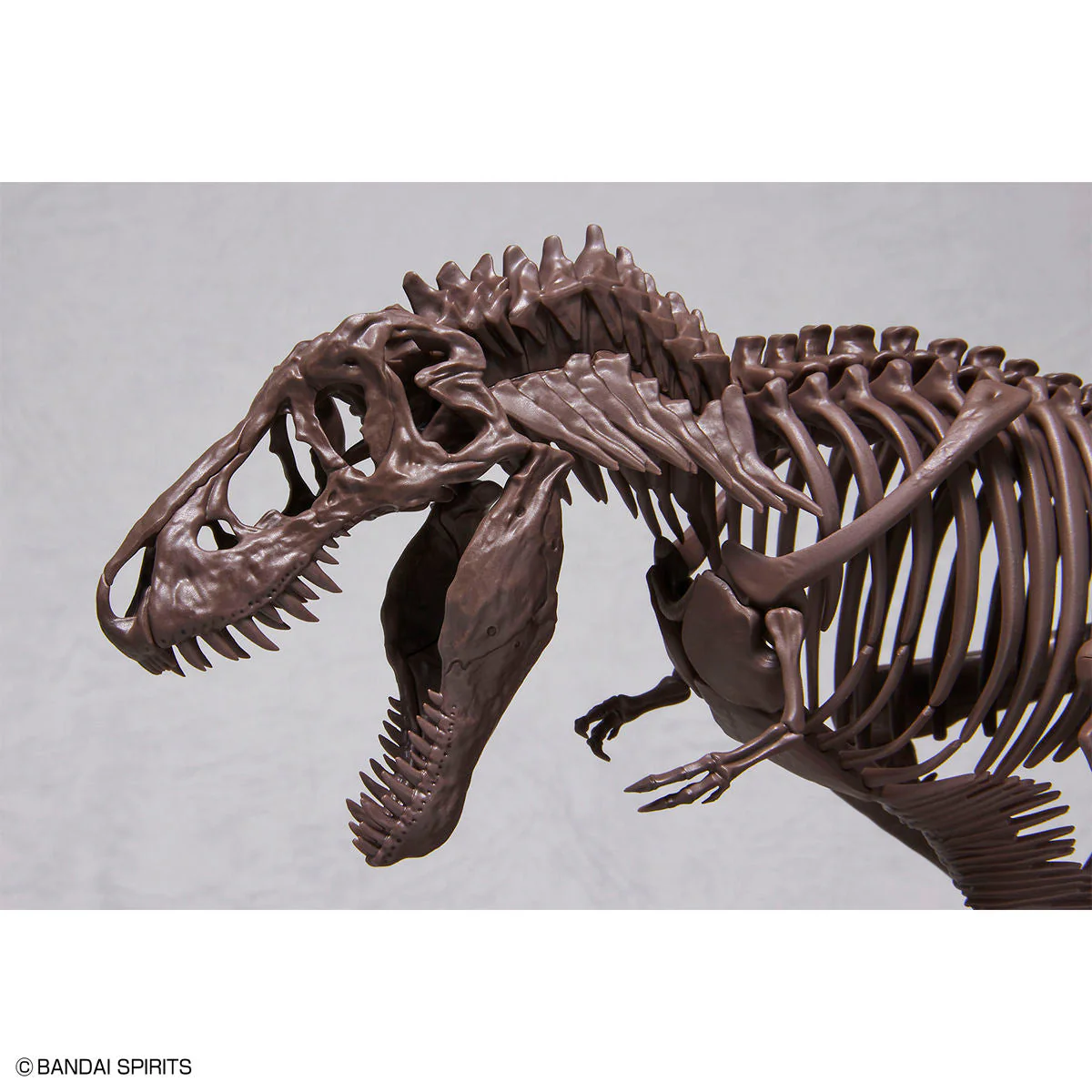 Imaginary Skeleton Tyrannosaurus 1/32 Scale Model Kit - Image 4